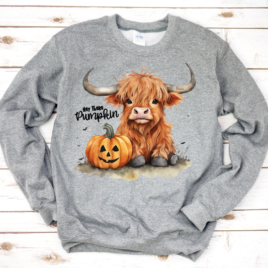 Hey There Pumpkin Sweatshirt