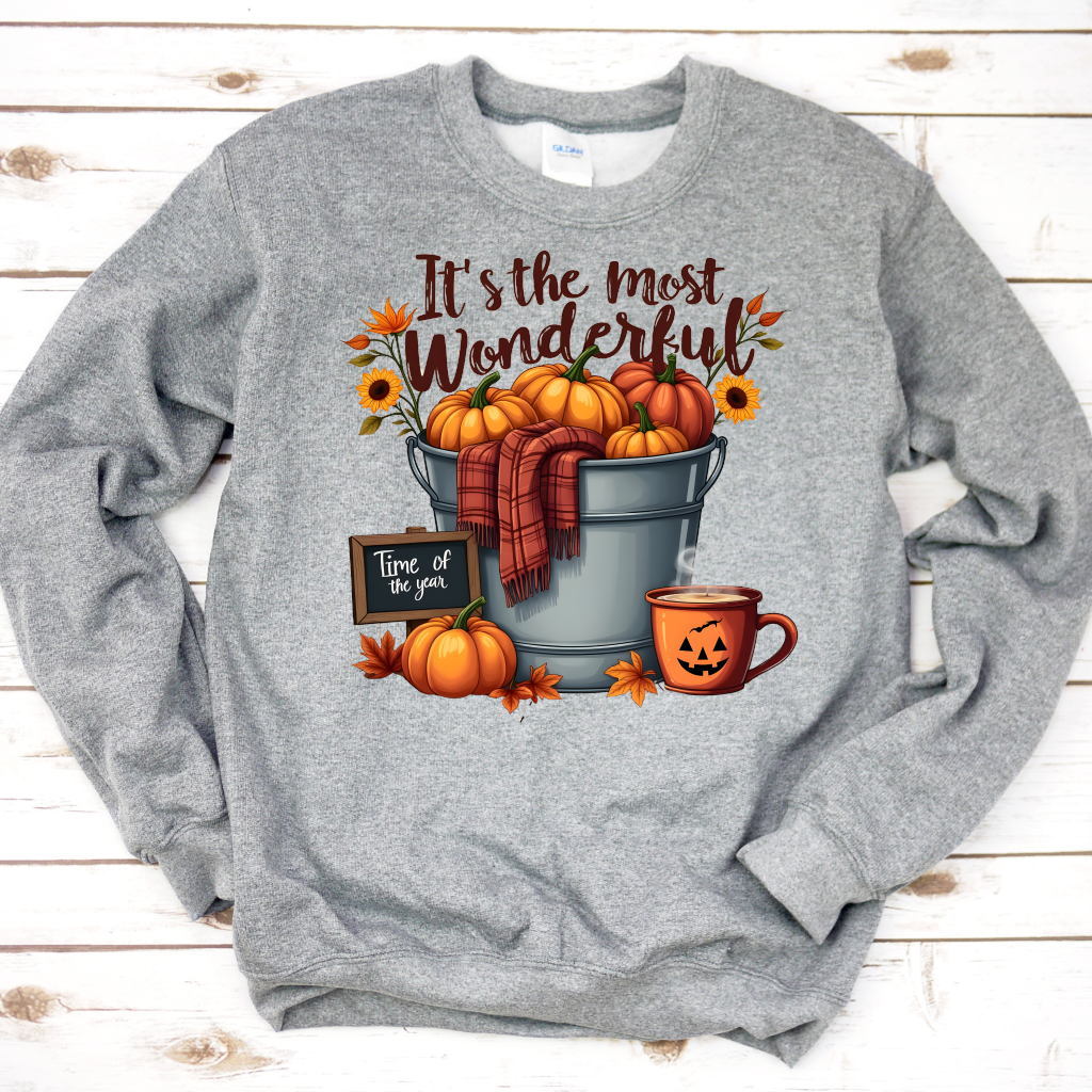 Most Wonderful Time Fall Sweatshirt